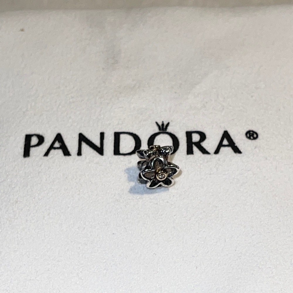 Pandora Retired He Loves Me